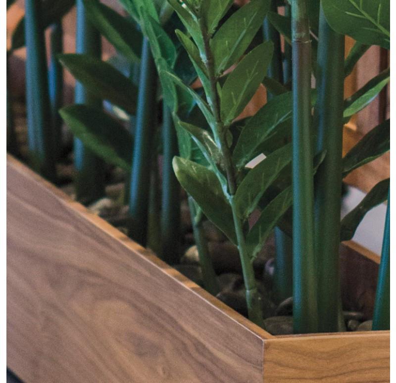 Gold Leaf Design Group Zamifolia Plants In Rectangle Planter
