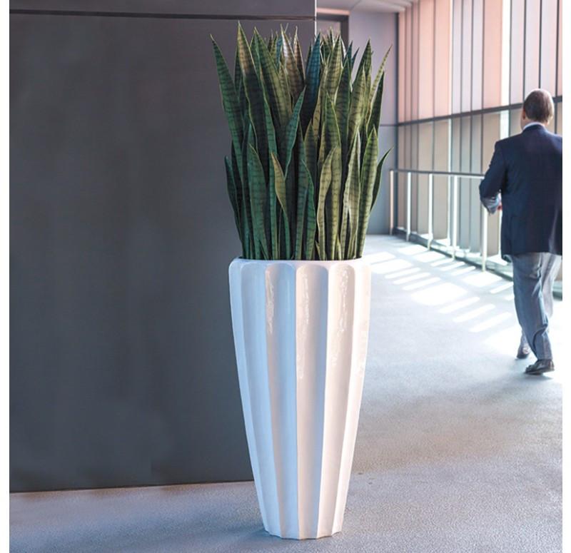 Gold Leaf Design Group Sansevieria In Pia Planter
