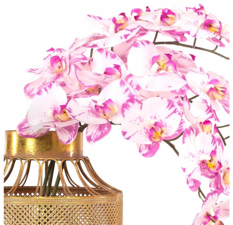 Gold Leaf Design Group Spotted Phalaenopsis Orchids In Ornata Vase