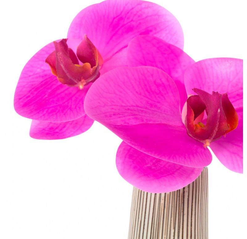 Gold Leaf Design Group Contour Cone Vase With Fuchsia Phalaenopsis Orchids - Set Of 2
