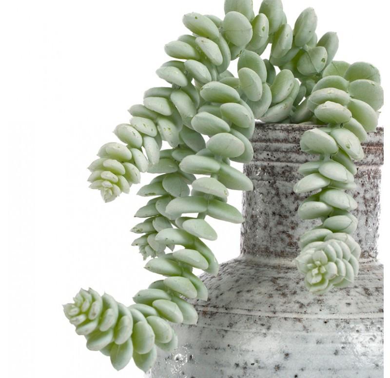 Gold Leaf Design Group Burro's Tail In Oxide Bottle - Set Of 2