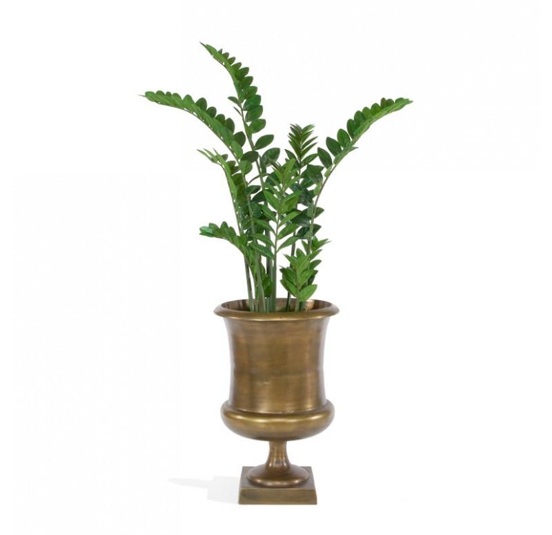 Gold Leaf Design Group Zamifolia In Drum Urn