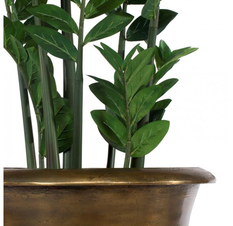 Gold Leaf Design Group Zamifolia In Drum Urn