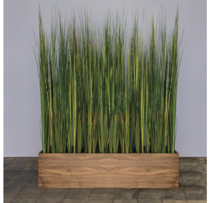 Gold Leaf Design Group Tall Onion Grass In Custom Rectangle Planter