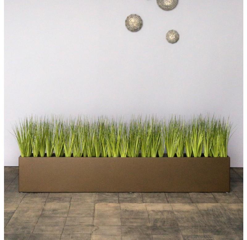Gold Leaf Design Group Short Japanese Grass In Custom Rectangle Planter