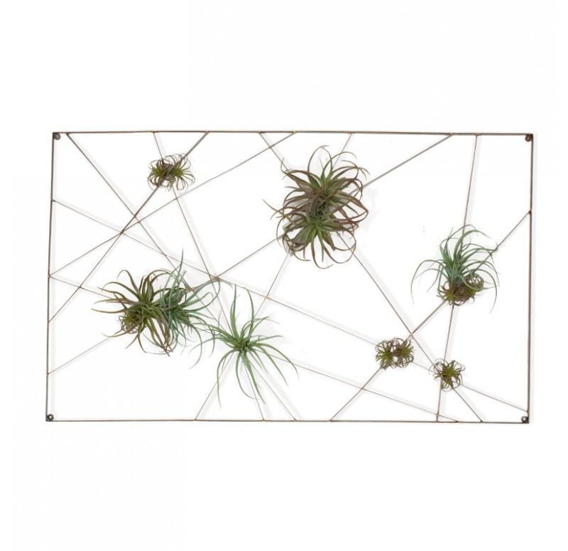 Gold Leaf Design Group Intersect Wall Art With Tillandsia Mix