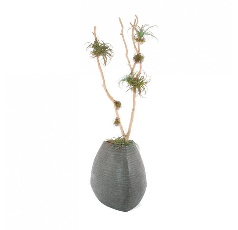 Gold Leaf Design Group Redwood & Tillandsia Mix In Trapezoid Planter