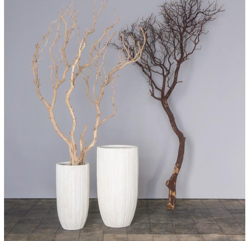 Gold Leaf Design Group Sandblasted Manzanita Tree In Small Linea Planter