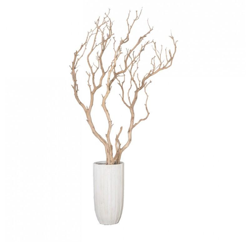 Gold Leaf Design Group Sandblasted Manzanita Tree In Small Linea Planter