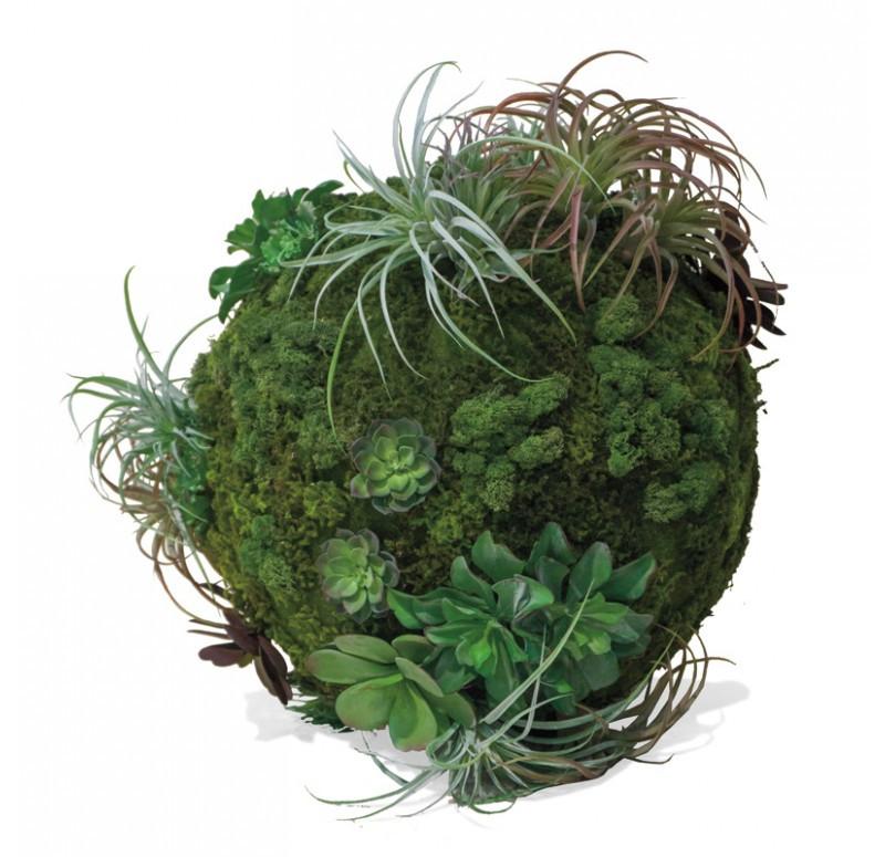 Gold Leaf Design Group California Mix Moss Sphere