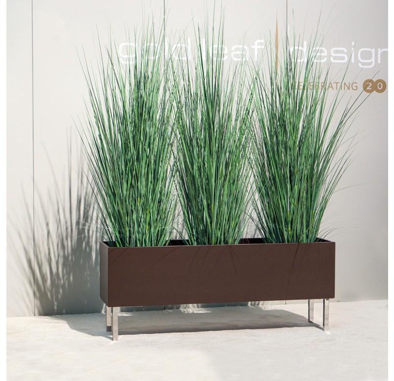Gold Leaf Design Group Tall Japanese Grass In Custom Rectangle Planter