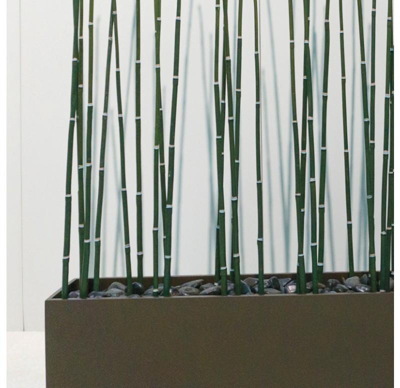 Gold Leaf Design Group Equisetum In Custom Rectangle Planter