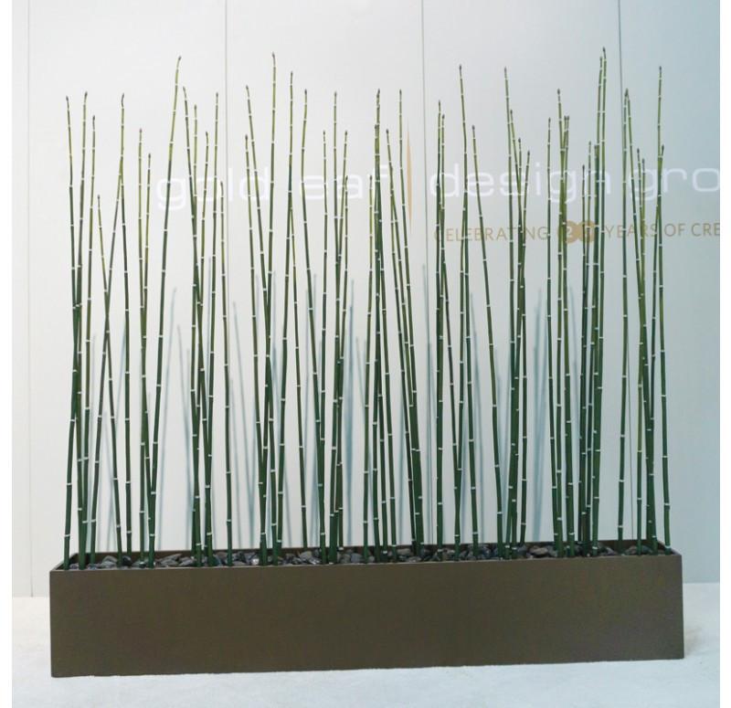 Gold Leaf Design Group Equisetum In Custom Rectangle Planter