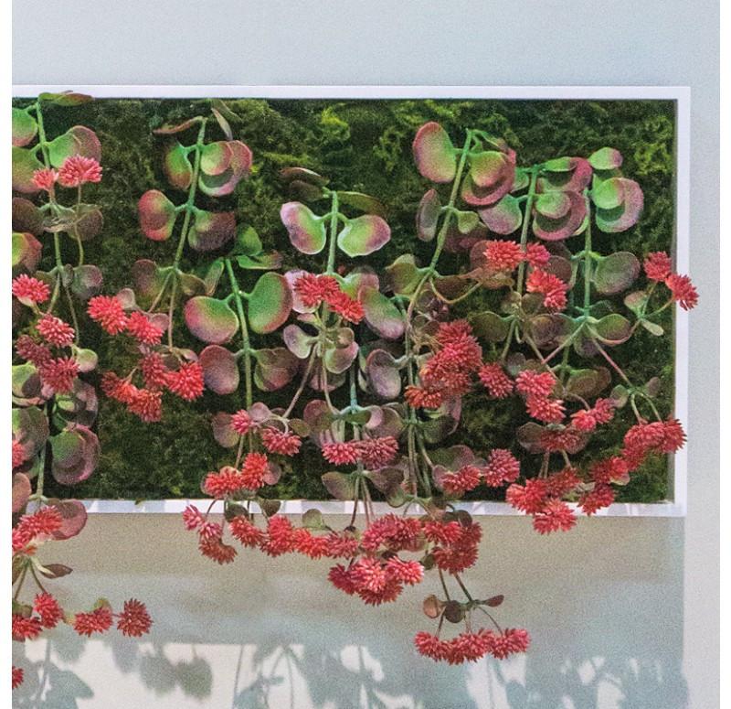 Gold Leaf Design Group Green Wall Flowering Kalanchoe