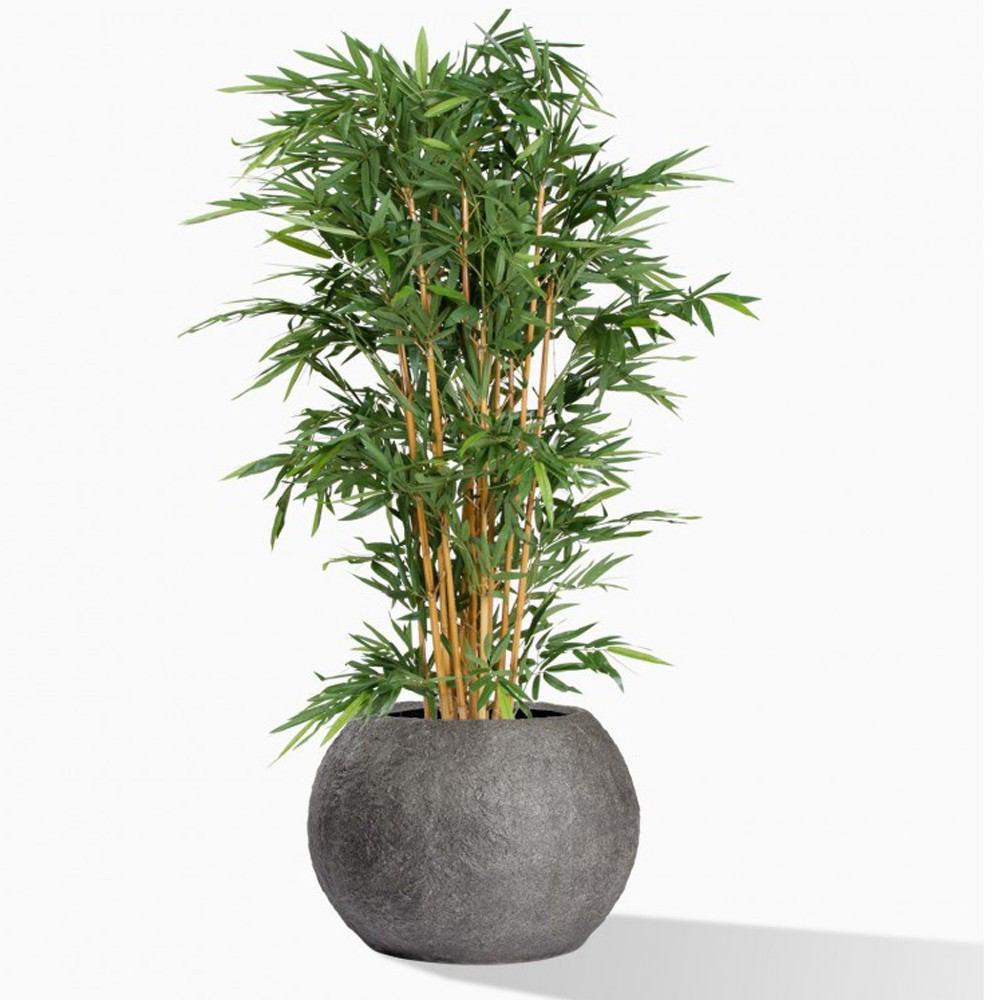 Gold Leaf Design Group Bamboo Tree Piedra Planter - Small