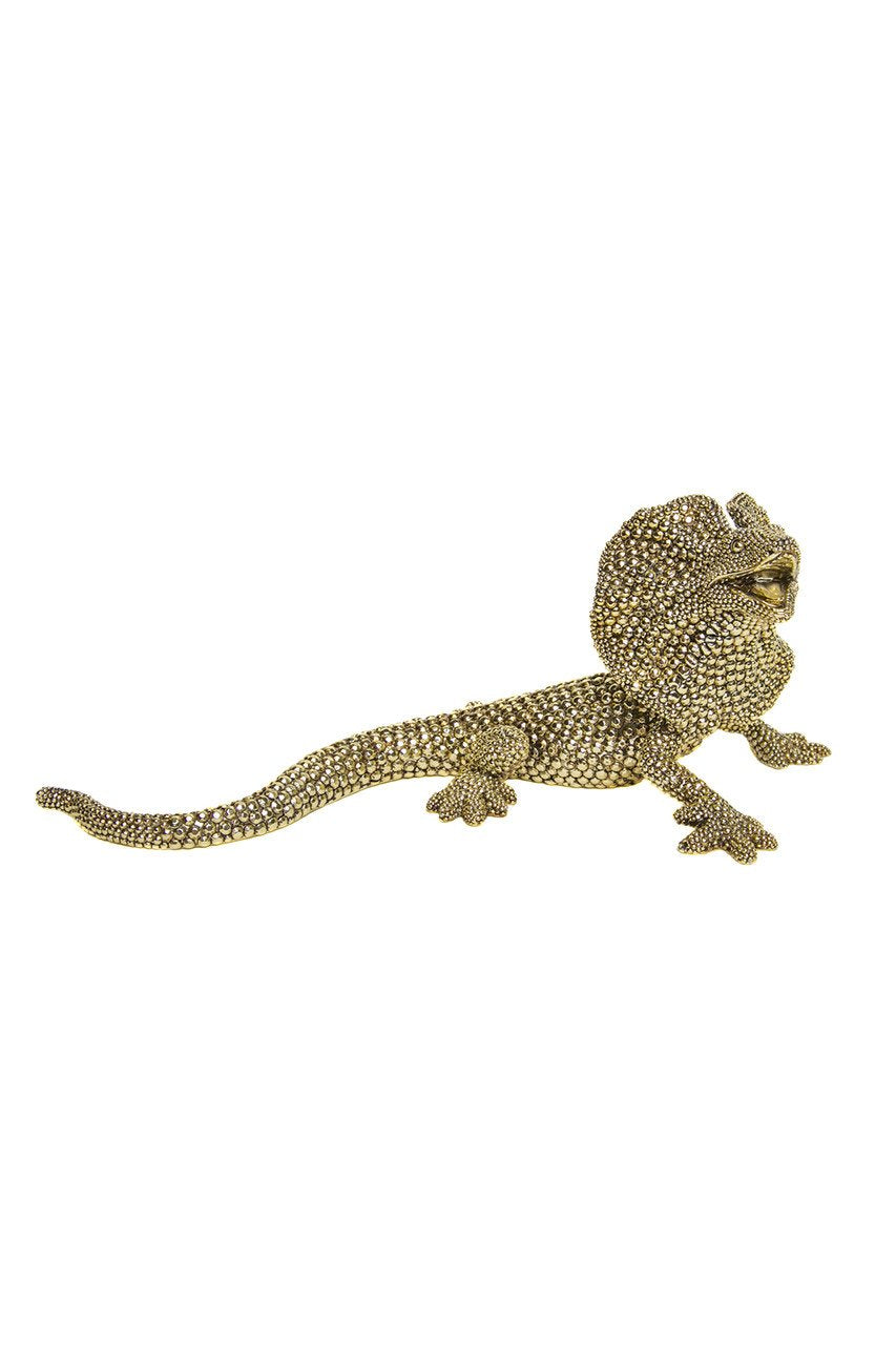 Interior Illusions Fan Lizard