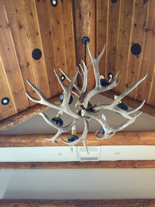 Antlerworx 6-Light Mule Deer Antler Chandelier (AWC-38)