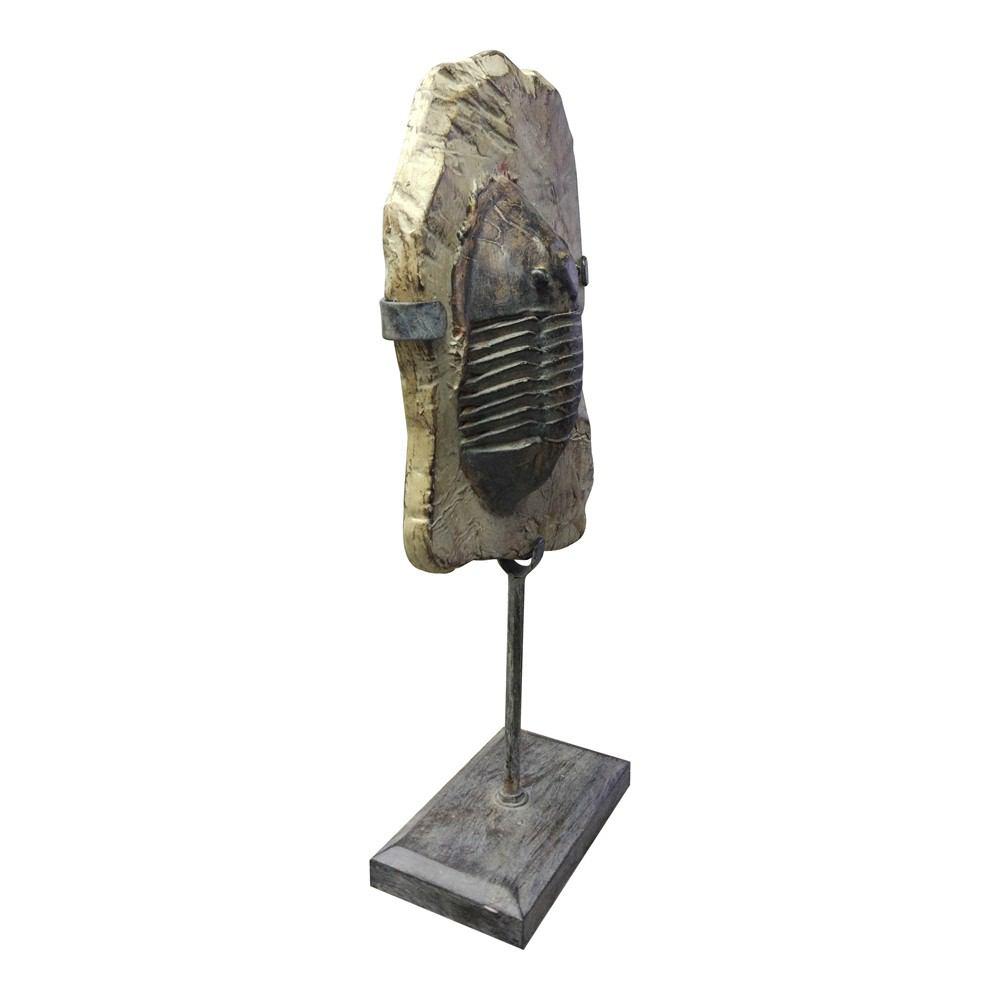 Moe's Home Collection Trilobite Fossil On Stand