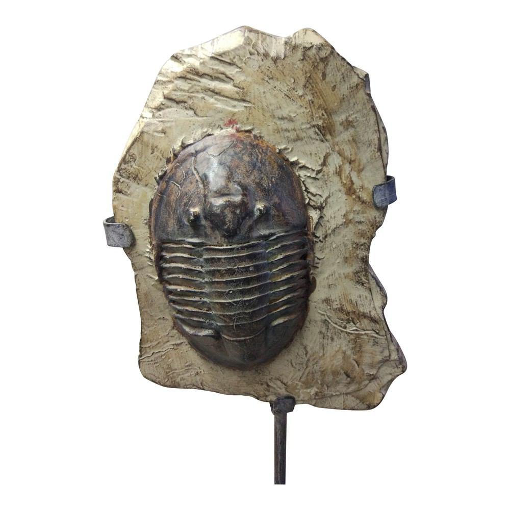 Moe's Home Collection Trilobite Fossil On Stand