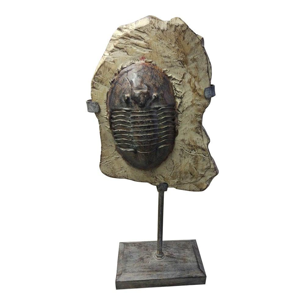 Moe's Home Collection Trilobite Fossil On Stand