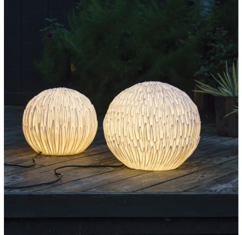 Gold Leaf Design Group Protea Lights