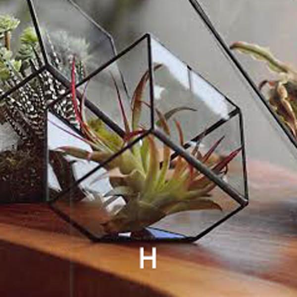 Roost Cubist Terrariums