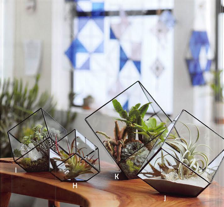 Roost Cubist Terrariums