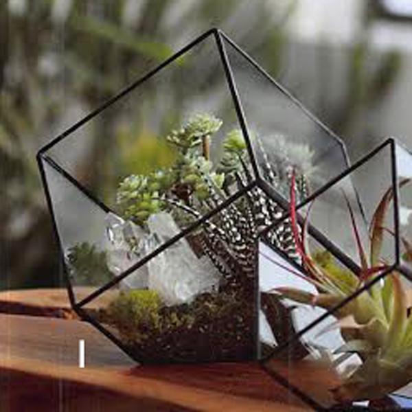 Roost Cubist Terrariums