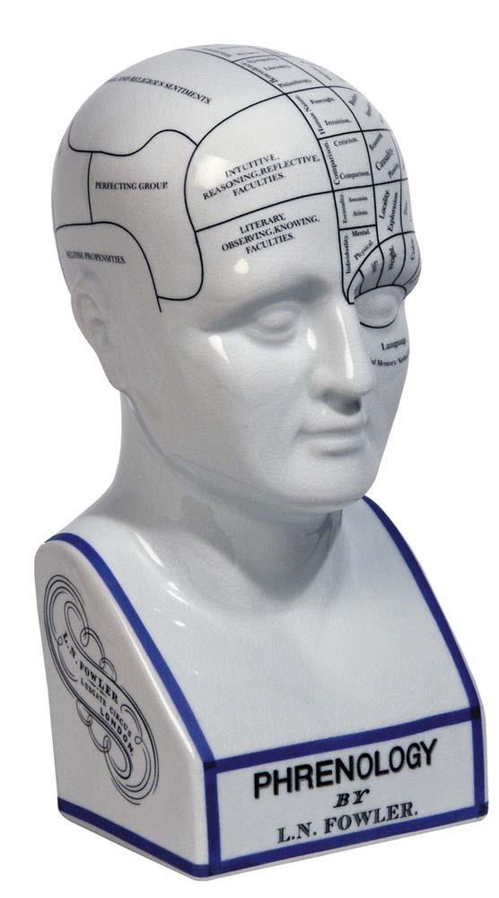 Phrenology Head By Authentic Models