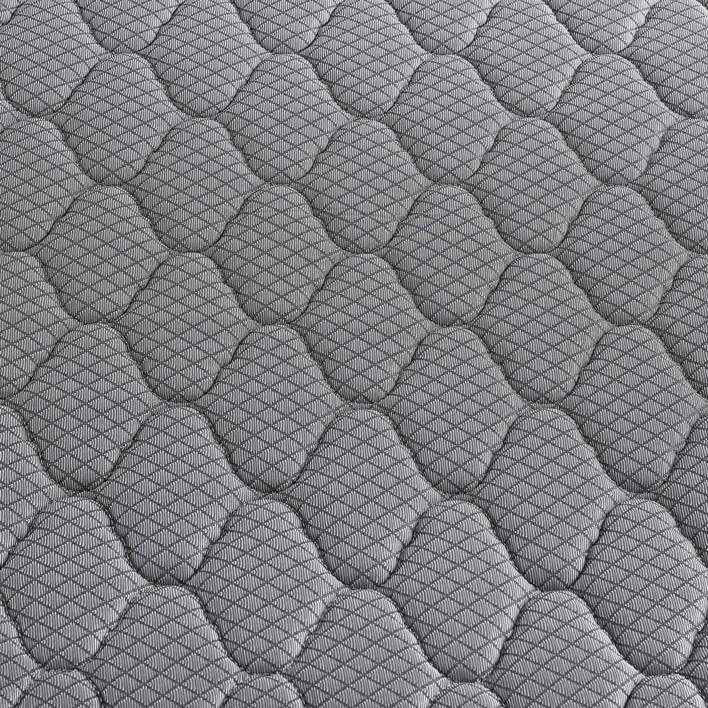 Modway Emma 8" Queen Mattress | Mattresses | 