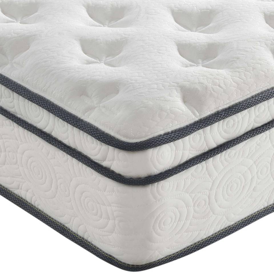 Modway Jenna 10" Twin XL Innerspring Mattress | Mattresses | 