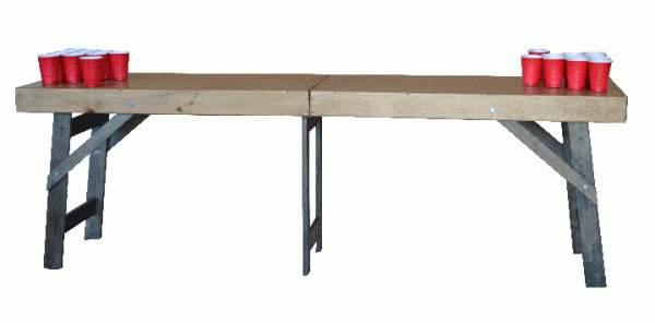 2-Day Designs Beer Pong Table