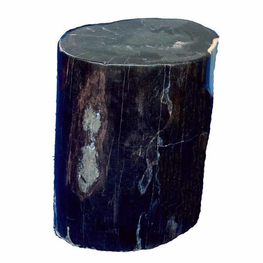 Aire Furniture Petrified Wood Log Stool PF-2057