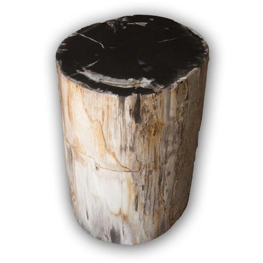 Aire Furniture Petrified Wood Log Stool PF-2116