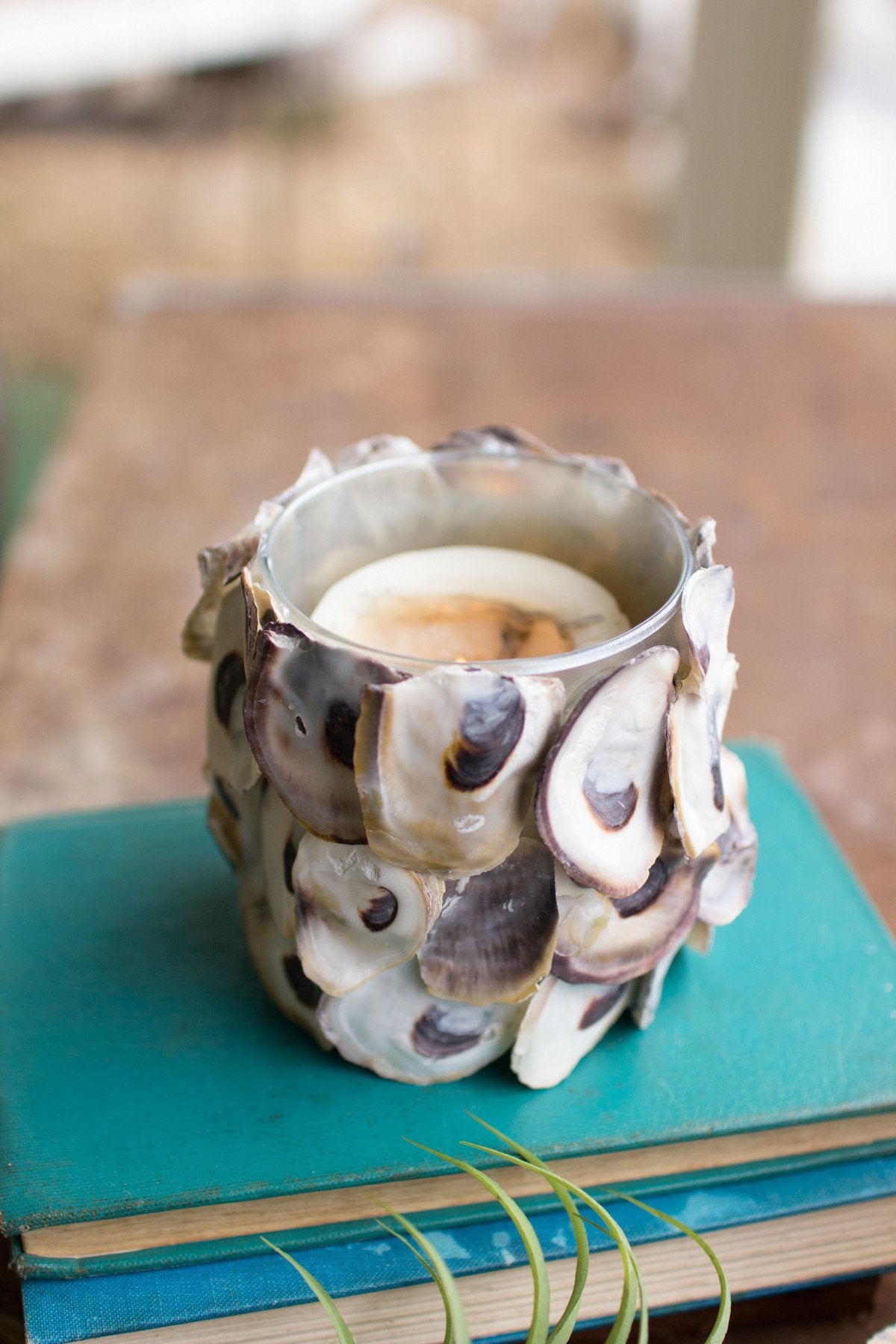 Kalalou Oyster Shell Round Candle Holder