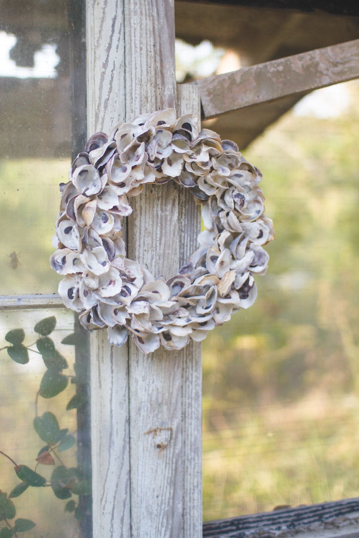Kalalou Oyster Shell Wreath - Set Of 2