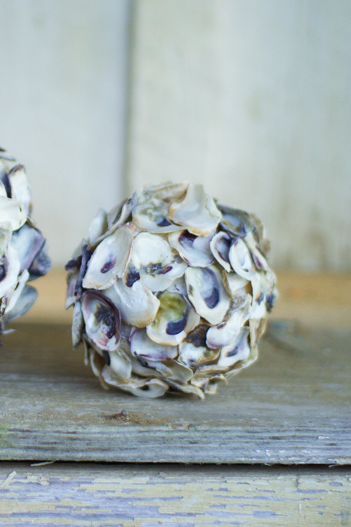 Kalalou Oyster Shell Sphere - Set of 4