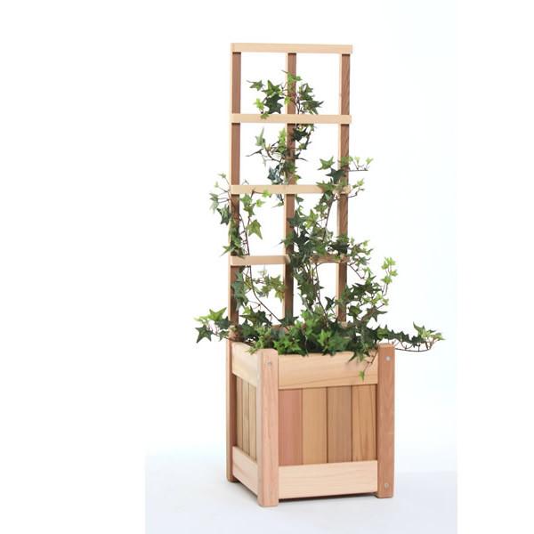 All Things Cedar 2pc. Planter w/ Trellis