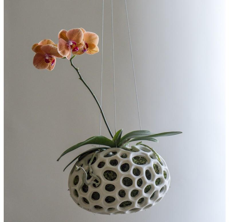 Gold Leaf Design Group Sponge Sculpture Hanging Planter