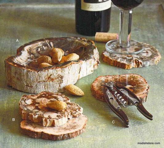 Roost Petrified Wood Bowl