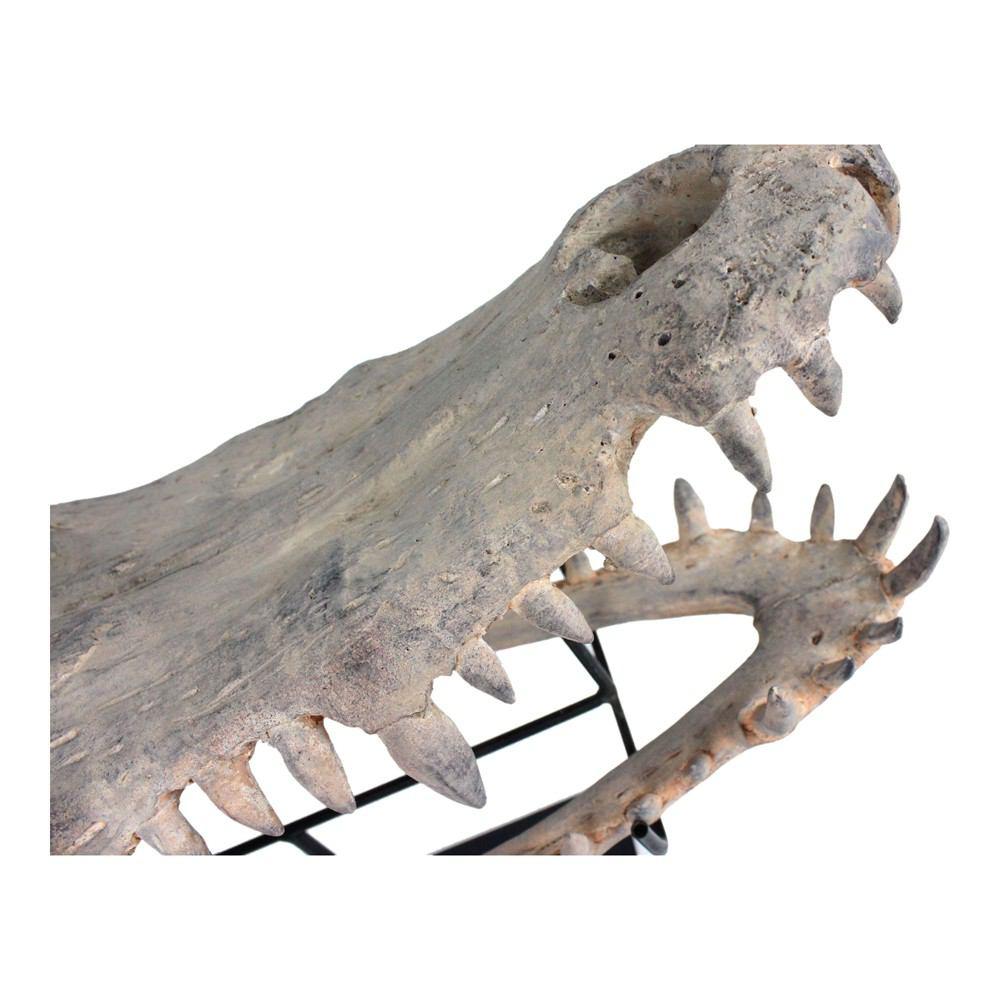 Moe's Home Collection Alligator Sculpture On Stand