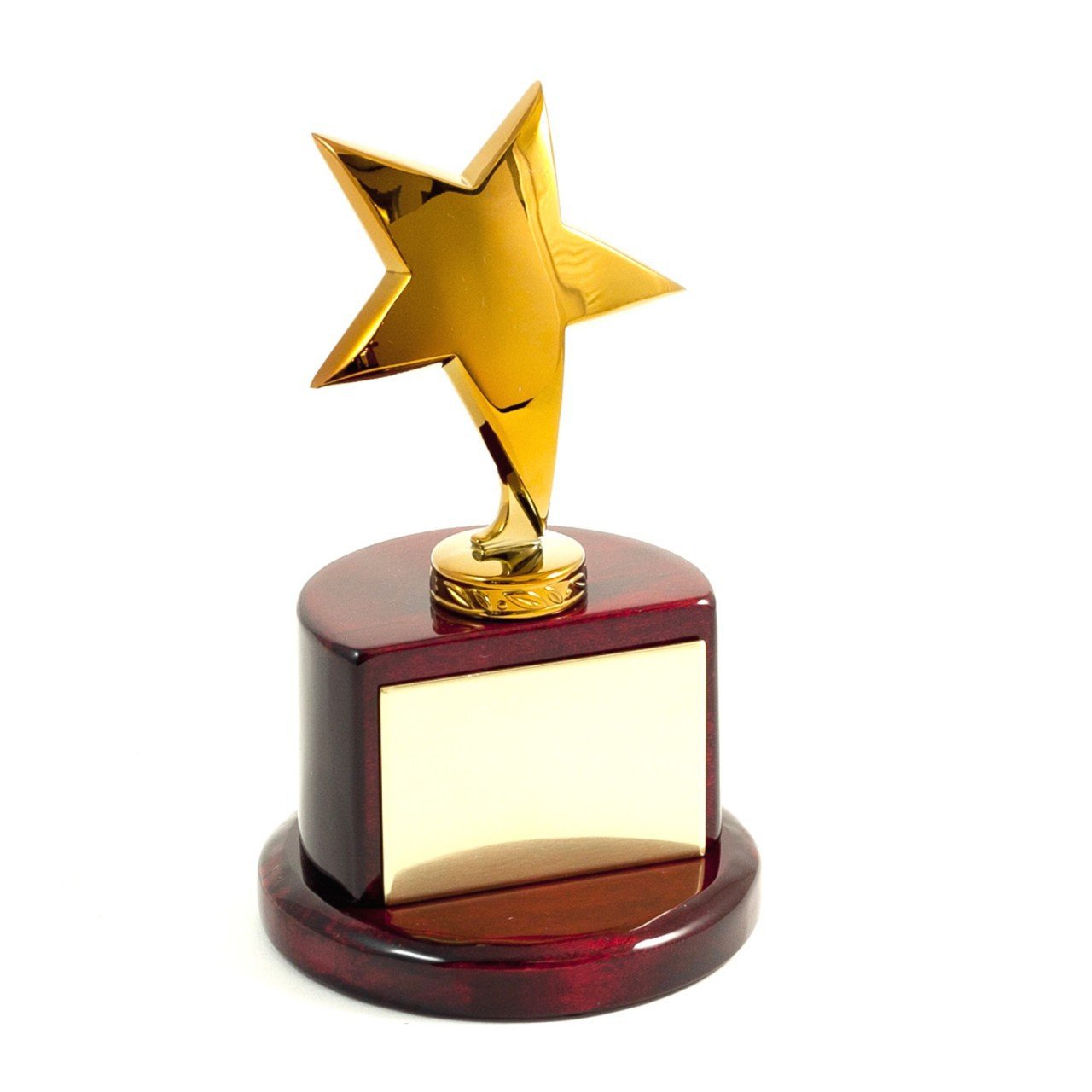 Bey-Berk Gold Plated Star Trophy