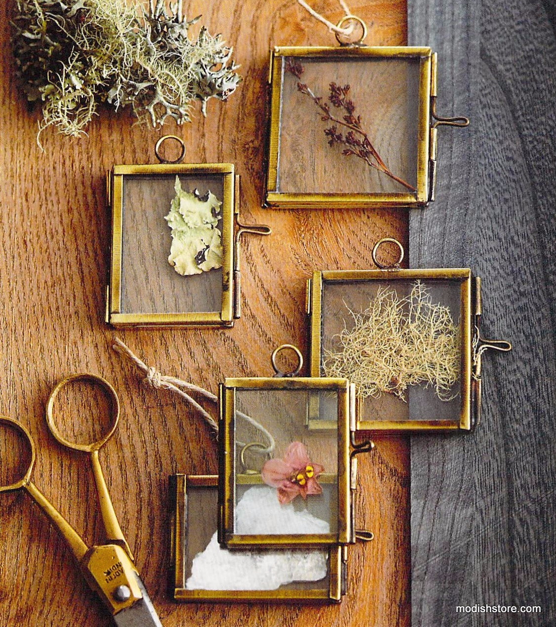 Roost Glass-Hinged Frame Ornaments - Set Of 3 - Sold Out