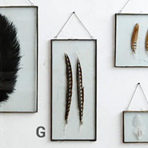 Roost Iron Edged Hanging Frames including Feathers Frames, Roost, - Modish Store