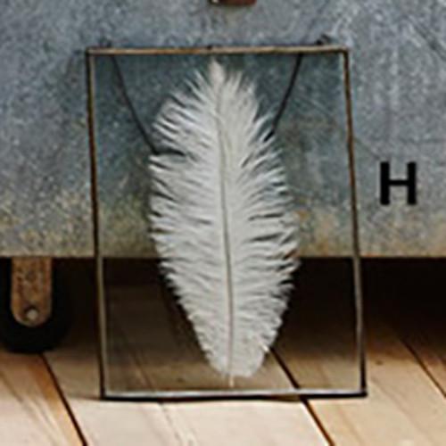 Roost Iron Edged Hanging Frames including Feathers Frames, Roost, - Modish Store