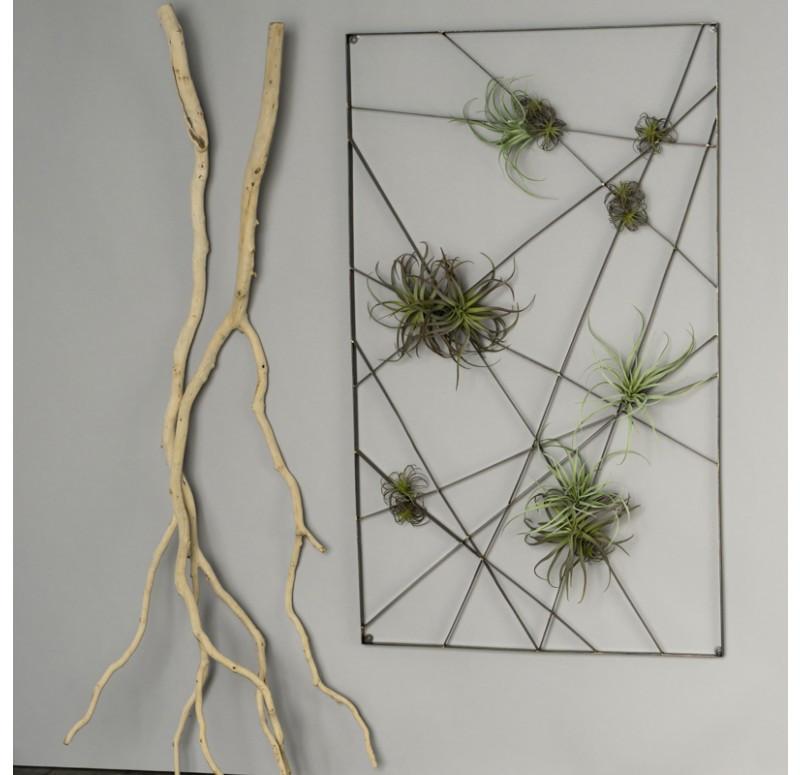 Gold Leaf Design Group Intersect Wall Art With Tillandsia Mix
