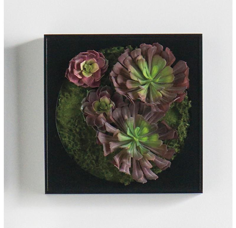 Gold Leaf Design Group Mini Green Wall Burgundy Echeveria