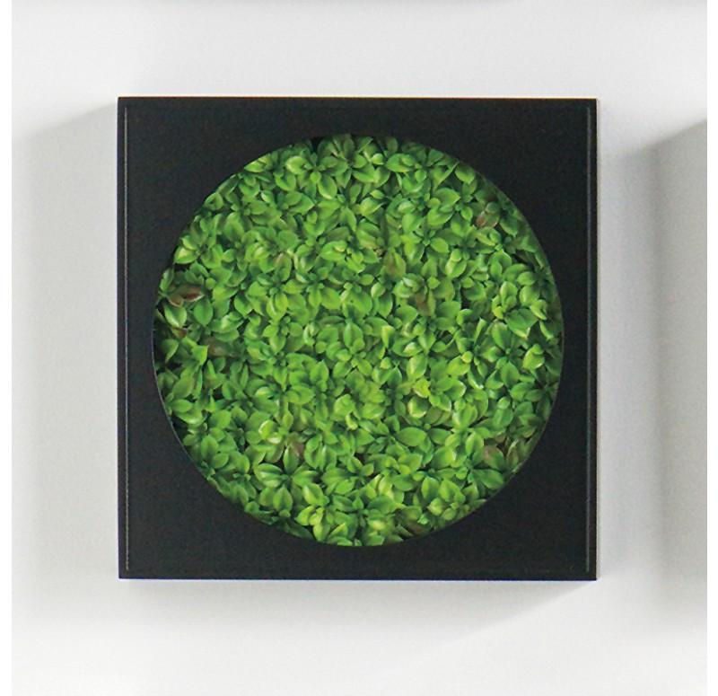 Gold Leaf Design Group Mini Green Wall Succulent Mat