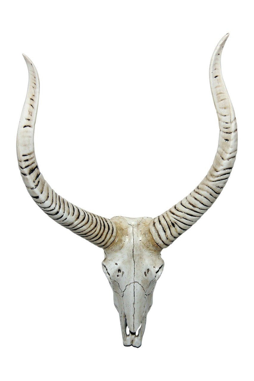 Interior Illusions Natural Twist Taxidermy