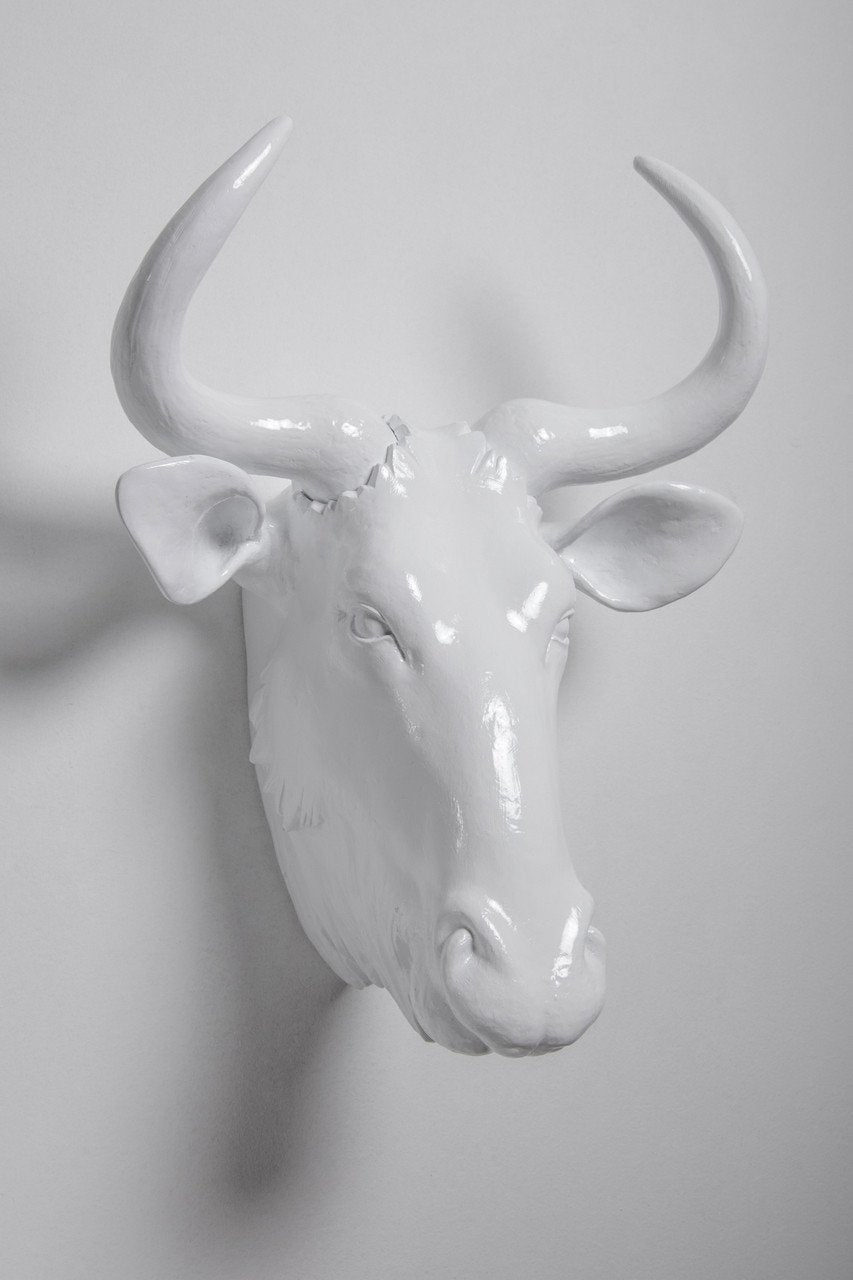 Interior Illusions Wild Beast Head Taxidermy